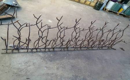 حفاظ شاخ گوزنی