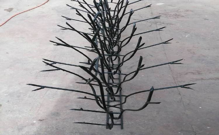 Deer antler guard 5