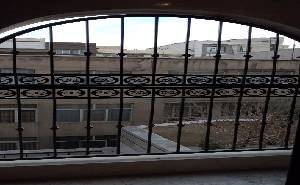 wrought iron window protection 1