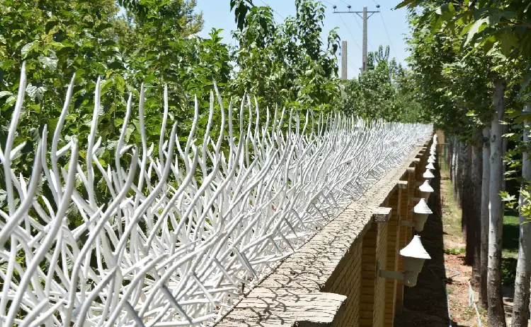 iron yard fence 2